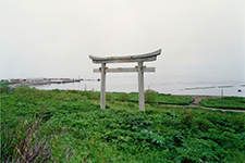 torii2t5.jpg